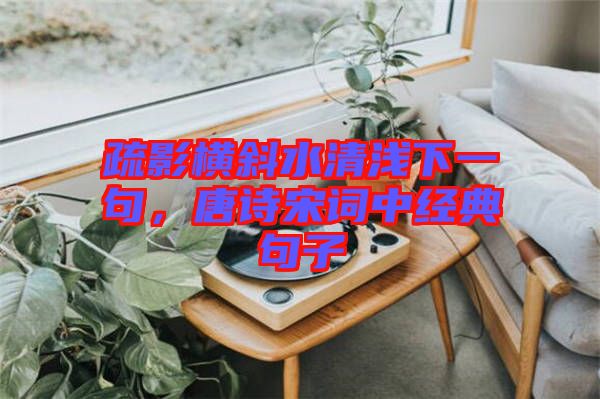 疏影橫斜水清淺下一句，唐詩宋詞中經(jīng)典句子