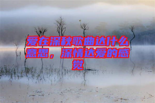 愛在深秋歌曲達(dá)什么意思，深情達(dá)愛的感覺