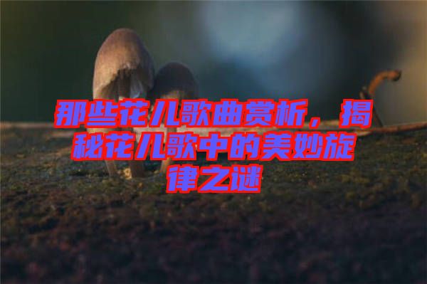 那些花兒歌曲賞析，揭秘花兒歌中的美妙旋律之謎