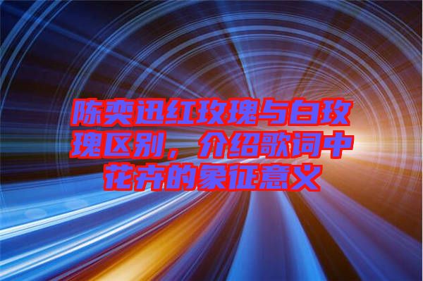 陳奕迅紅玫瑰與白玫瑰區(qū)別，介紹歌詞中花卉的象征意義