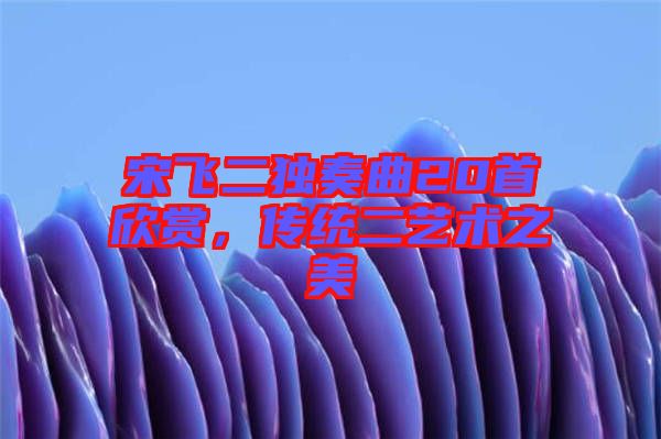 宋飛二獨(dú)奏曲20首欣賞，傳統(tǒng)二藝術(shù)之美