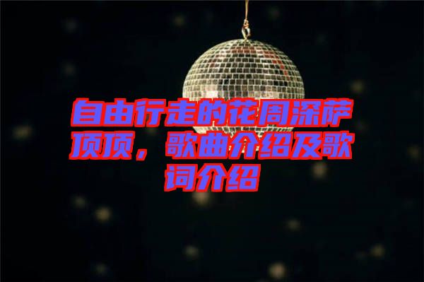 自由行走的花周深薩頂頂，歌曲介紹及歌詞介紹