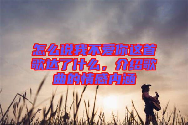 怎么說我不愛你這首歌達(dá)了什么，介紹歌曲的情感內(nèi)涵