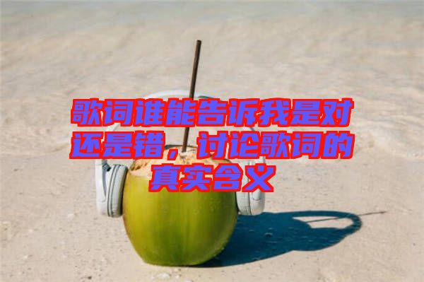 歌詞誰能告訴我是對(duì)還是錯(cuò)，討論歌詞的真實(shí)含義