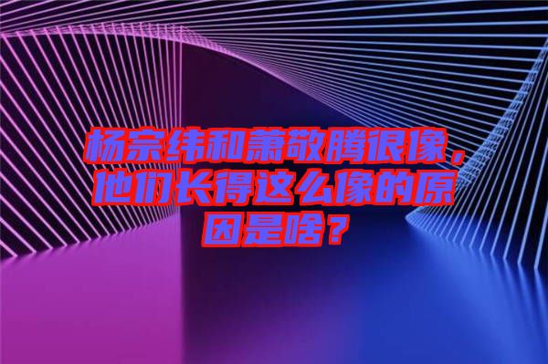 楊宗緯和蕭敬騰很像，他們長得這么像的原因是啥？