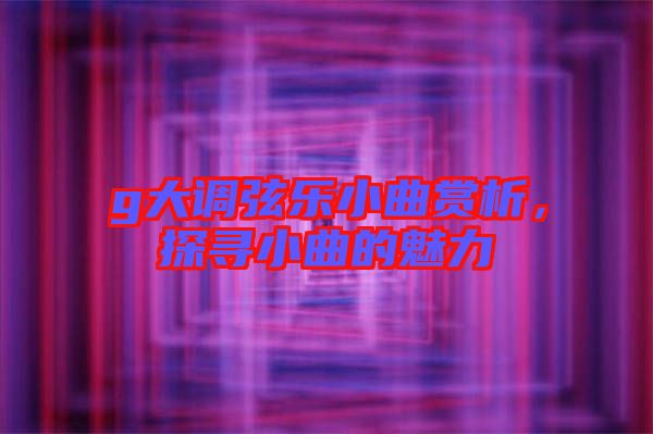 g大調(diào)弦樂小曲賞析，探尋小曲的魅力
