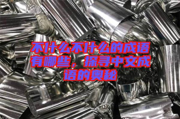 不什么不什么的成語有哪些，探尋中文成語的奧秘