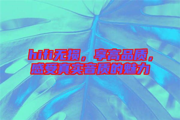 hifi無損，享高品質(zhì)，感受真實音質(zhì)的魅力