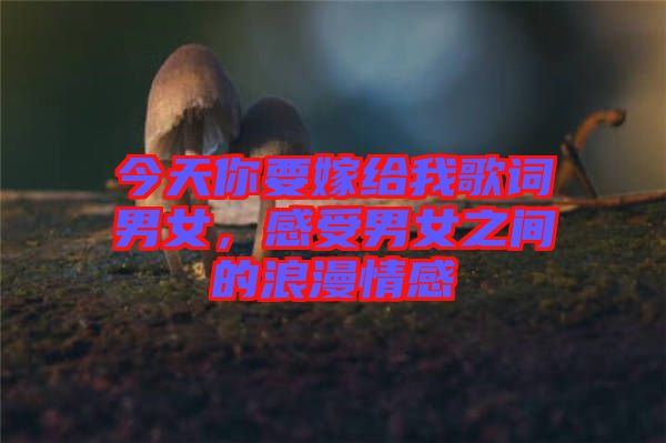 今天你要嫁給我歌詞男女，感受男女之間的浪漫情感