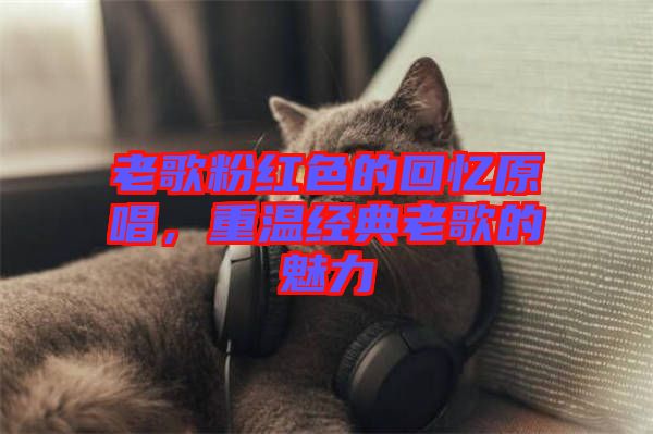 老歌粉紅色的回憶原唱，重溫經(jīng)典老歌的魅力