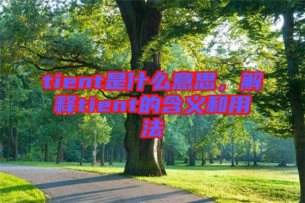 tient是什么意思，解釋tient的含義和用法
