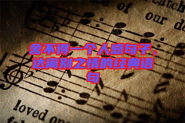 舍不得一個(gè)人感句子，達(dá)離別之情的經(jīng)典語(yǔ)句