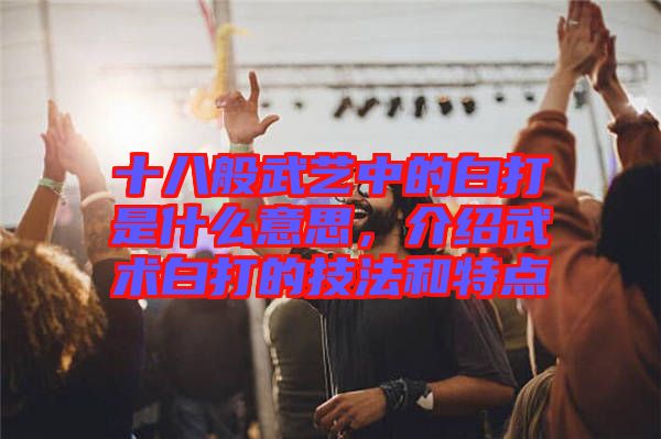 十八般武藝中的白打是什么意思，介紹武術(shù)白打的技法和特點