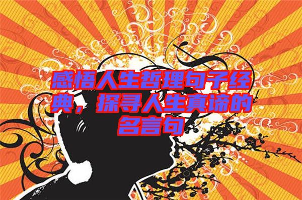 感悟人生哲理句子經(jīng)典，探尋人生真諦的名言句