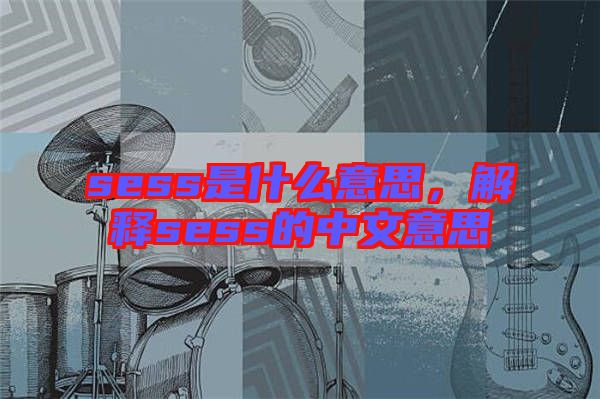 sess是什么意思，解釋sess的中文意思