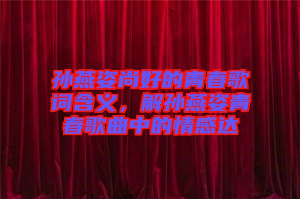 孫燕姿尚好的青春歌詞含義，解孫燕姿青春歌曲中的情感達