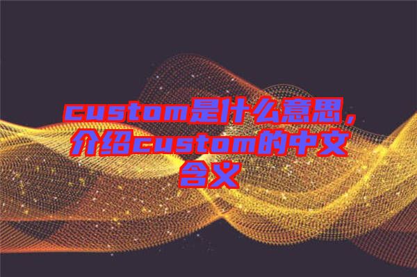 custom是什么意思，介紹custom的中文含義