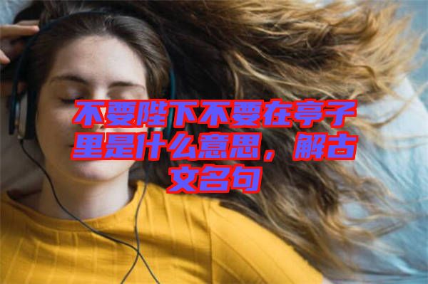 不要陛下不要在亭子里是什么意思，解古文名句