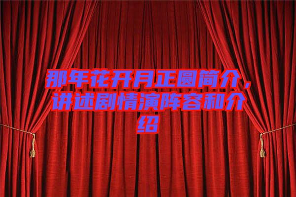 那年花開(kāi)月正圓簡(jiǎn)介，講述劇情演陣容和介紹