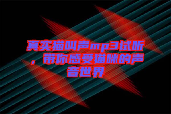 真實(shí)貓叫聲mp3試聽，帶你感受貓咪的聲音世界