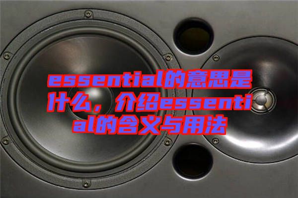 essential的意思是什么，介紹essential的含義與用法