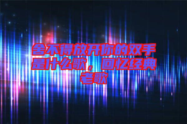 舍不得放開你的雙手是什么歌，回憶經典老歌