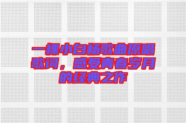 一棵小白楊歌曲原唱歌詞，感受青春歲月的經(jīng)典之作