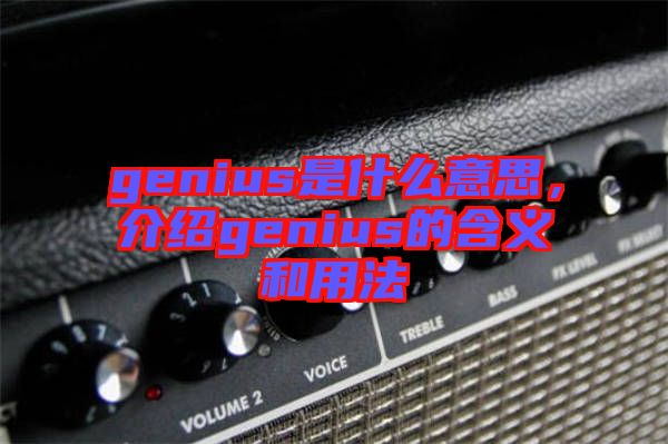 genius是什么意思，介紹genius的含義和用法