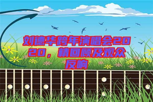 劉德華跨年演唱會(huì)2020，精回顧及觀眾反響
