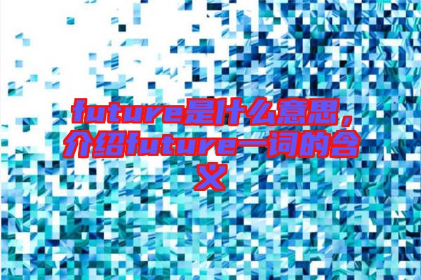 future是什么意思，介紹future一詞的含義