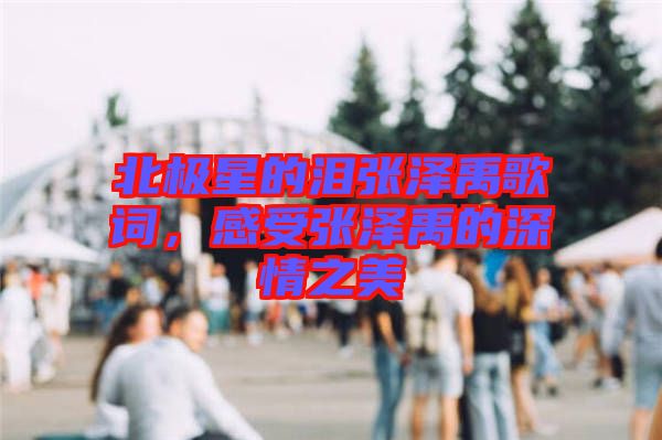 北極星的淚張澤禹歌詞，感受張澤禹的深情之美