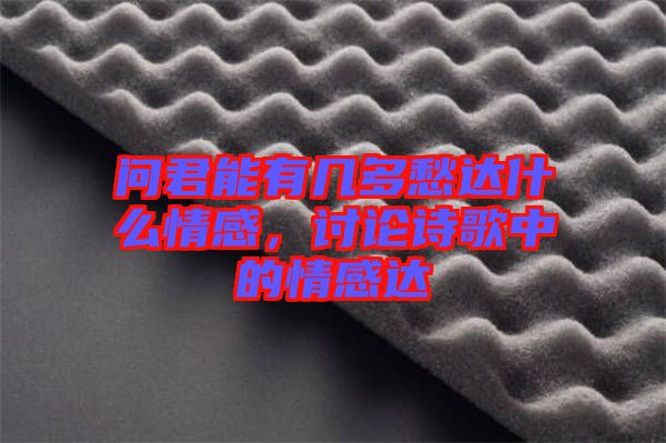 問君能有幾多愁達什么情感，討論詩歌中的情感達