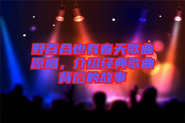 野百合也有春天歌曲原唱，介紹經(jīng)典歌曲背后的故事