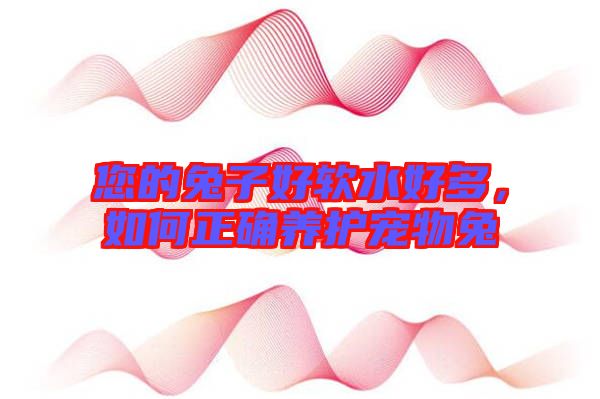 您的兔子好軟水好多，如何正確養(yǎng)護(hù)寵物兔