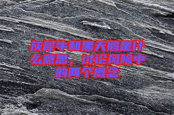 灰犀牛和黑天鵝是什么意思，討論風(fēng)險(xiǎn)中的兩個(gè)概念