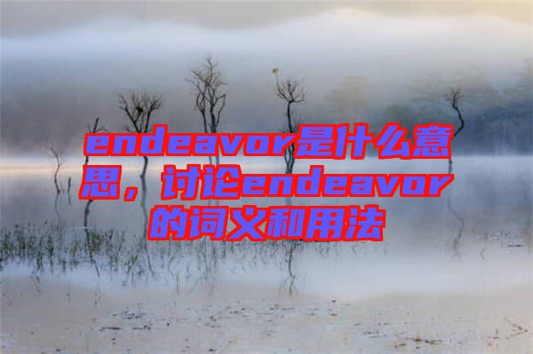 endeavor是什么意思，討論endeavor的詞義和用法