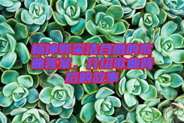楊坤郭采潔合唱的歌曲答案，介紹歌曲背后的故事
