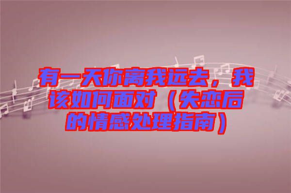 有一天你離我遠(yuǎn)去，我該如何面對(duì)（失戀后的情感處理指南）