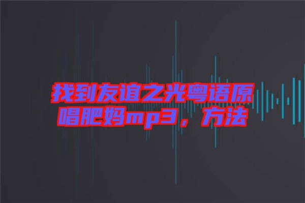 找到友誼之光粵語(yǔ)原唱肥媽mp3，方法