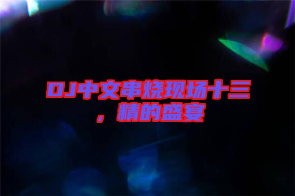 DJ中文串燒現(xiàn)場(chǎng)十三，精的盛宴