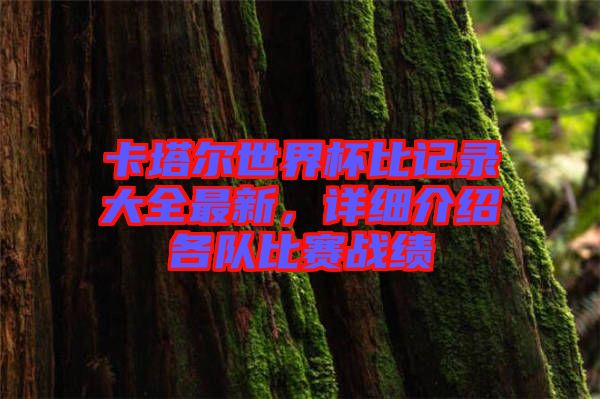 卡塔爾世界杯比記錄大全最新，詳細(xì)介紹各隊(duì)比賽戰(zhàn)績