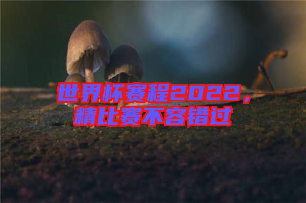 世界杯賽程2022，精比賽不容錯過