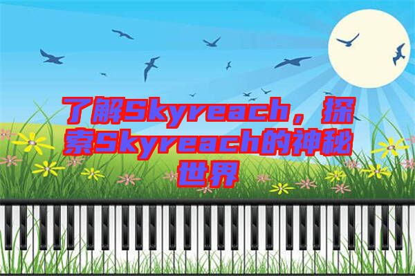 了解Skyreach，探索Skyreach的神秘世界