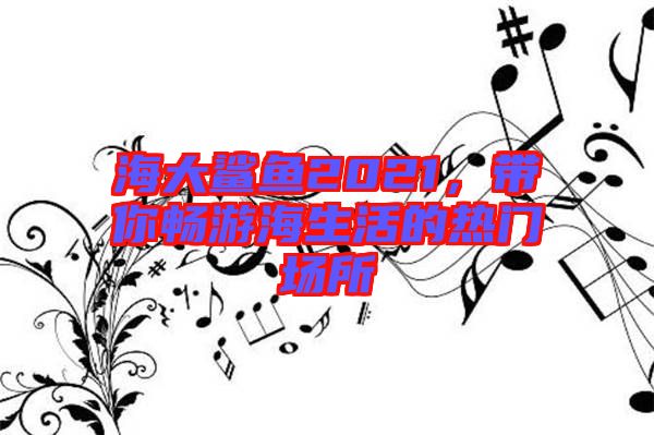海大鯊魚2021，帶你暢游海生活的熱門場(chǎng)所