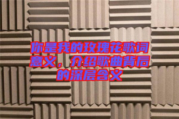 你是我的玫瑰花歌詞意義，介紹歌曲背后的深層含義