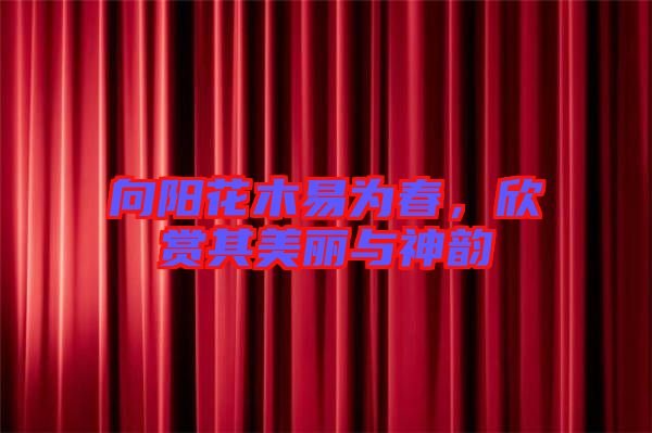 向陽花木易為春，欣賞其美麗與神韻