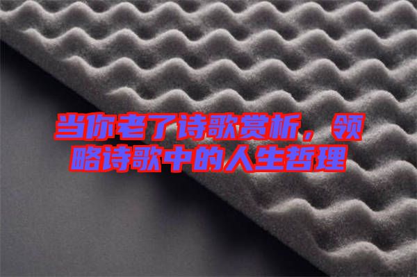 當(dāng)你老了詩(shī)歌賞析，領(lǐng)略詩(shī)歌中的人生哲理