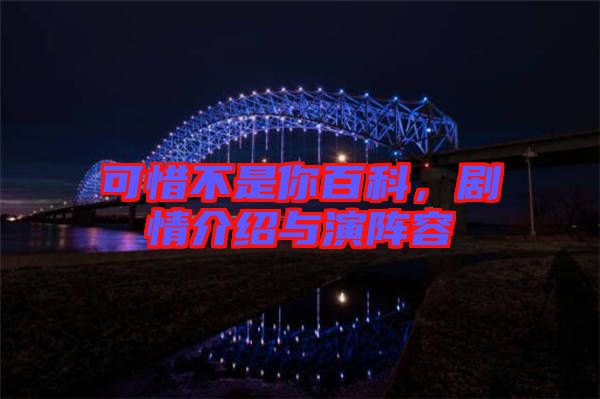 可惜不是你百科，劇情介紹與演陣容