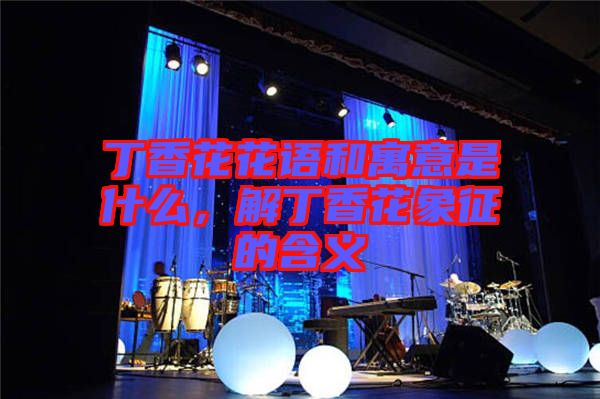 丁香花花語和寓意是什么，解丁香花象征的含義