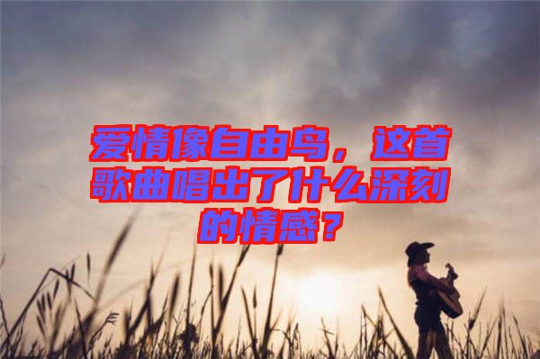 愛情像自由鳥，這首歌曲唱出了什么深刻的情感？
